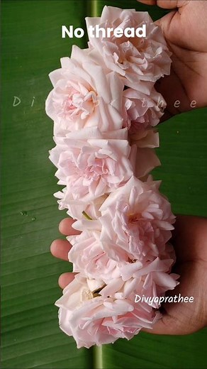 Super idea🤩How to string rose flowers without Thread/rose flower garland/roja poo malai #viral #diy