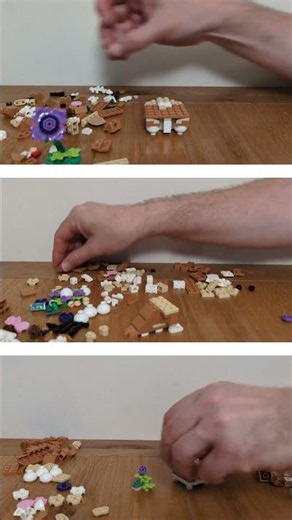 Hamster 3in1