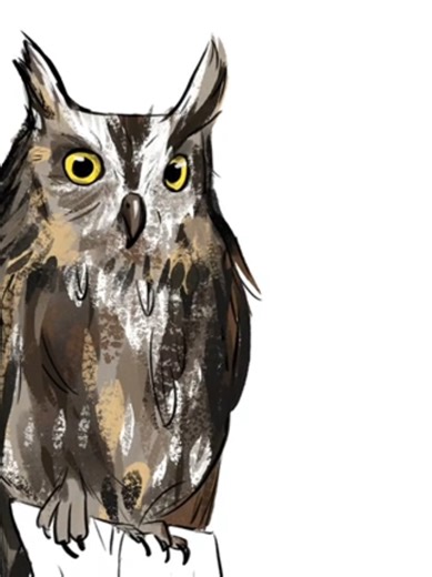 My most watched video of 2025 sitting at 620,000 views. over the years I've received countless comments from people that thought that they heard owls every morning on the way to school, when for a lot of them it was not.