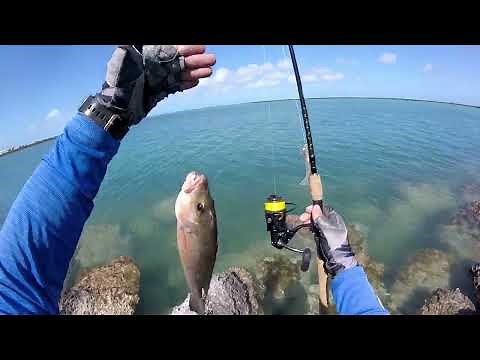 Shore Fishing in the Florida Keys! - Snapper - Grouper