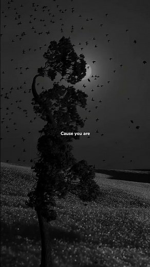 Alone , Pt . II - Alan Walker & Ava Max | lyrics aesthtic | WhatsApp status | sped up | tiktok | amv