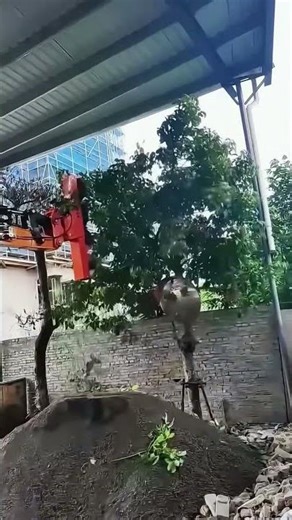 JINGGONG Circular Saw - Efficient & Clean Branch Trimming