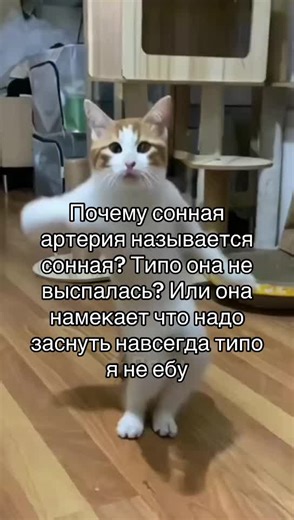 ▄︻デLanaAa══━一 on TikTok