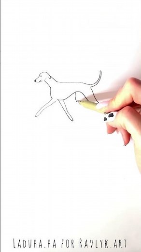 🐕 🎨 Greyhound Dog Drawing Guide ⚡ Fast Puppy Guide ❤️ #shorts #drawing #RavlykArt