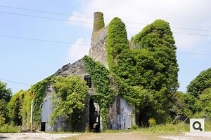 Wheal Busy - Alchetron, The Free Social Encyclopedia