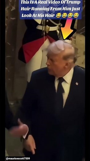 😂 Trump's Hair FAIL Goes Viral! 🤣 #Trump #Viral #FunnyShorts