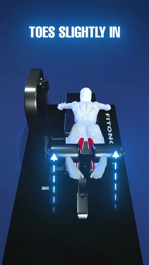 Leg Curl Machine, Hamstring Focus #hamstrings #bicepsfemoris #semitendinosus #semimembranosus