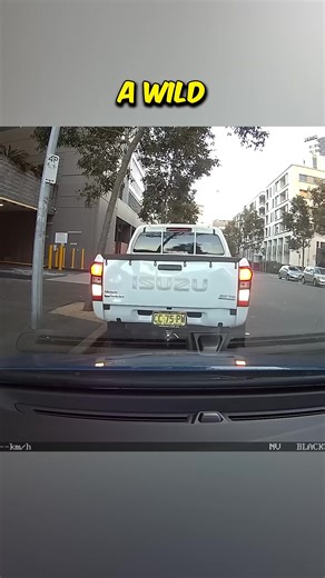 Two Idiots Thought It Was Funny! 😅 #dashcam #usa #dashcamera #dashcamvideos #dashcams #roadsafety #crash #driving #driver #drivers #cars #car #foryou #fyp | Dash Cam Footage