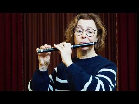 Auf den Punkt. BSO-Musiker:innen im Interview