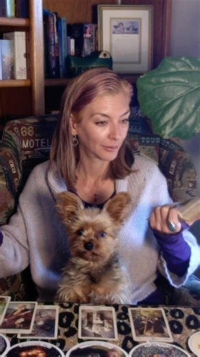 “Et Tu Brute?” Some idiot bully’s about to get a Sassy bite.