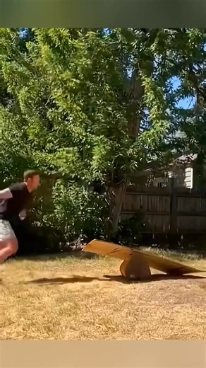 60K views · 545 reactions | #funnypets #dog #cat (102) | Pop Trends | Facebook