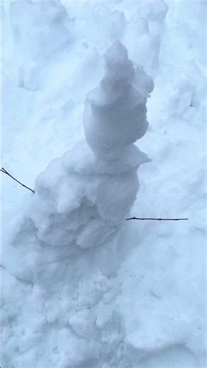 Do you want to build a snowman ⛄️