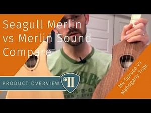 Seagull Merlin vs Merlin Sound Compare | M4 Spruce vs Mahogany Tops