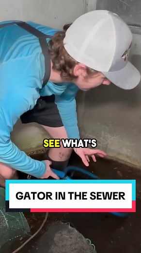 BFP NATION on TikTok