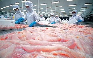 Vietnam Pangasius Exports Still Affected by Pandemic | Seafood
