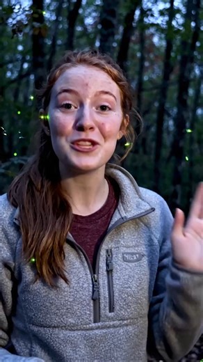 Firefly Bioluminescence💥