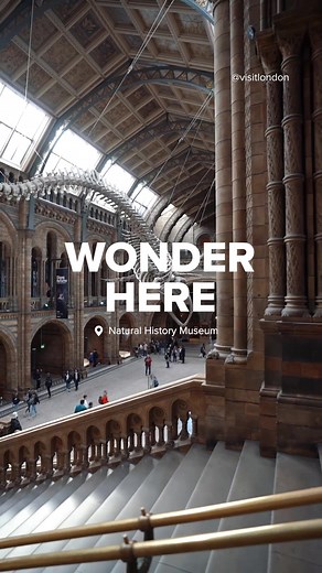 From museum wonders to iconic retail havens, there’s so much to discover in London. Here’s how you can make the most of your day in our magnificent city! [🎥 @lucajpeterson] #LetsDoLondon #VisitLondon #NaturalHistoryMuseum #Chinatown #RegentStreet #LondonLife #londonthingstodo #londontiktok #LondonCity #londonhotspots