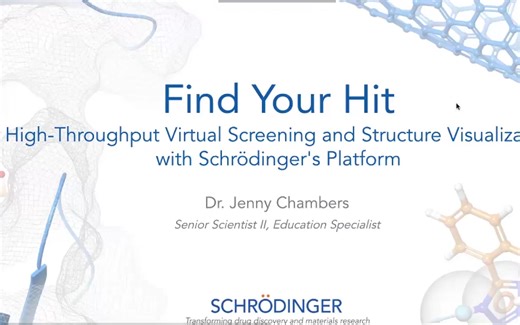 Find Your Hit: High-Throughput Virtual Screening with Schrodinger platform
