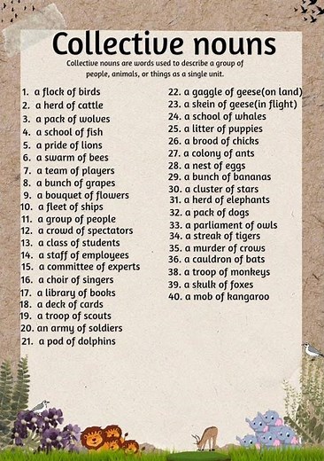 Collective Nouns | Definition of collective nouns | most commonly used collective nouns