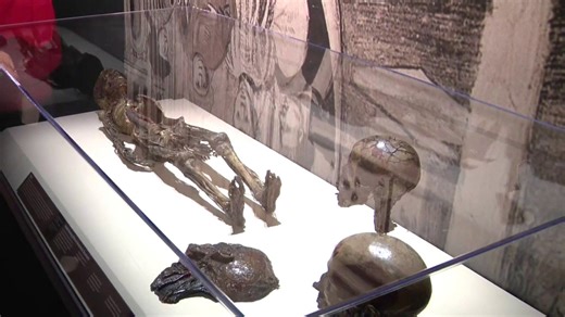 'Mummies of the World: The Exhibition' opens Feb. 7