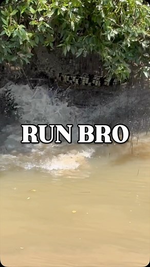 17K views · 5.2K reactions | I’d be runnin too.. Old Stumpy decided he wanted some free range, unsalted Saltie for lunch.. young Jiminy had other plans. Even crocs needs to be Crocwise!  Saltwater Crocodiles Northern Territory Australia | Wildman Adventures | Facebook