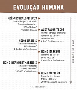 Evolução humana: segundo a teoria, os seres humanos vieram do macaco