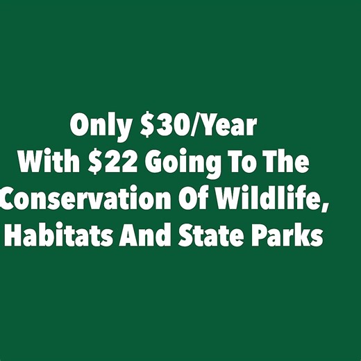 Conservation License Plates | Texas Parks and Wildlife