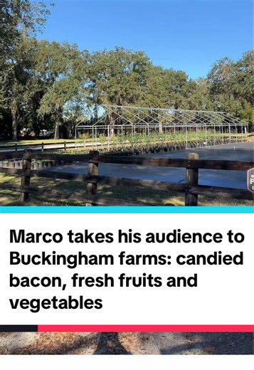 Exploring Buckingham Farms: Tasty Treats and Fresh Finds