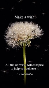 3.5K views · 53 reactions | Make a wish! | Rythmia | Facebook