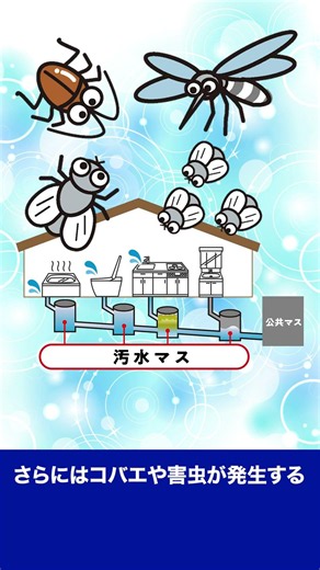 【放置ダメ】排水口が臭い・コバエが湧く原因はコレ！汚水マスの恐怖 #Shorts