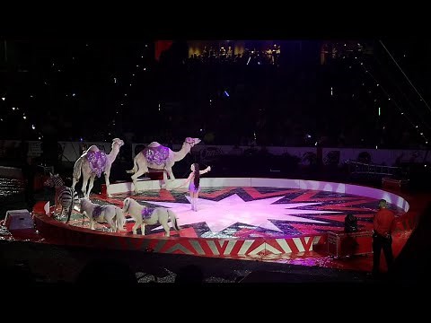 Moolah Shrine Circus St. Louis 2023: Perfect family fun for All Ages!