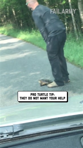 don't mess with turtle power 🤣 #turtle #turtles #fail | FailArmy