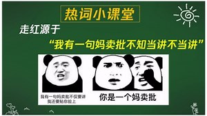 “mmp”是什么意思？