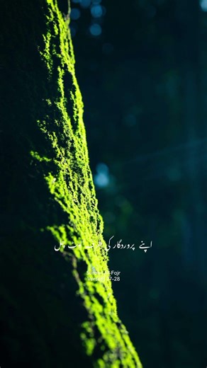 Allah❤️#viral #fypシ゚viral #fyp #allahuakbar#nabi #allah #Allahkikhushnudi#