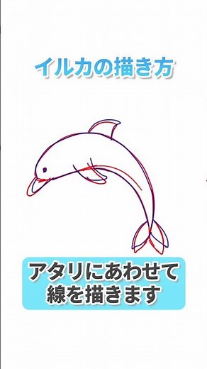 【小学生でも描きやすい！】イルカの描き方🐬 #shorts