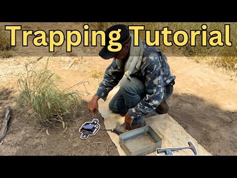 How To Set A Foot Hold Dog Trap