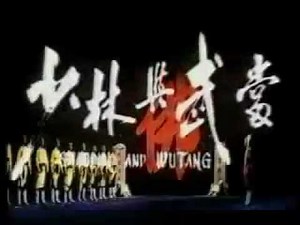Shaolin vs Wu Tang intro