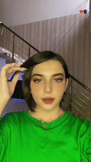 Sign Language Gestures Explained in a Unique Dance