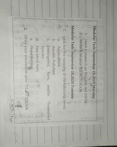 Modular Task: September 15, 2025 MondayHave a research on Repu... | Filo