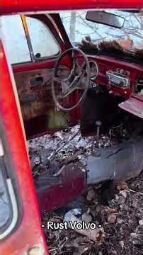 Lost and rust bug #rust #rustvolvo #oldschool #oldcar #bug#käfer#kupla