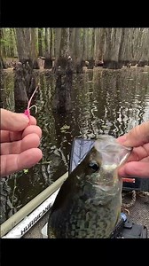 we got another Keeper Crappie