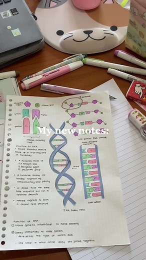 Improving Note Taking Skills: Old vs New Notes Transformation
