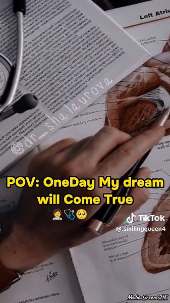 Medical Student Journey: Behind the Scenes of Healthcare