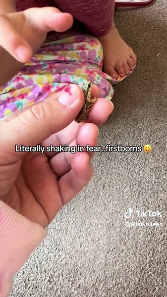 Holding a frog for the first time can be scary 😆💖 #fy #fyp #frog #cute