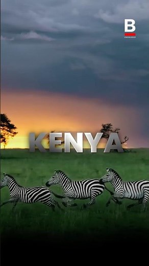 Wildlife Crime | Nature’s Hidden Mafia | Beyond Knowledge