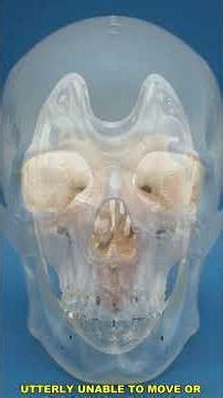 The Neurotoxin Shutdown