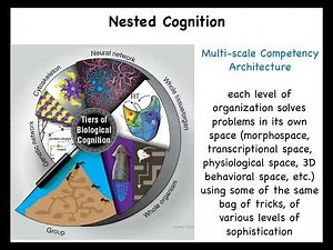 Developmental Bioelectricity - By Prof. Michael Levin