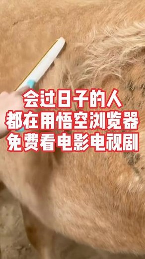 悟空浏览器，全网影视免费看，让你追剧无忧！
