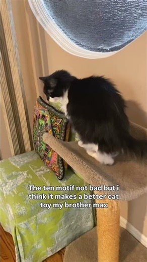 Peter Models the Van Cleef & Arpels Guilloché Necklace… and Turns It Into a Cat Toy! 😹💎