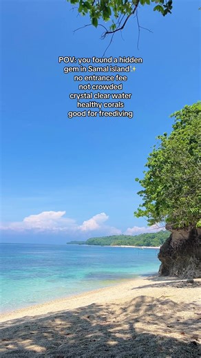 Discover Hidden Gems in Samal Island for Free Diving